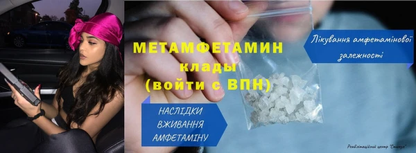 прущие грибы Волоколамск