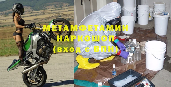 прущие грибы Волоколамск