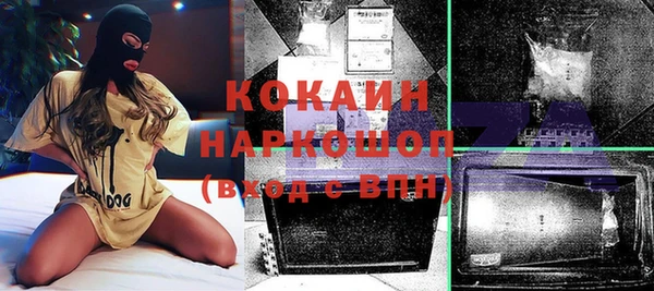 прущие грибы Волоколамск