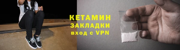 прущие грибы Волоколамск